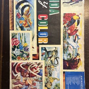 Álbumes "Vida y Color" Colección Enciclopédica Ilustrada - imagen 5