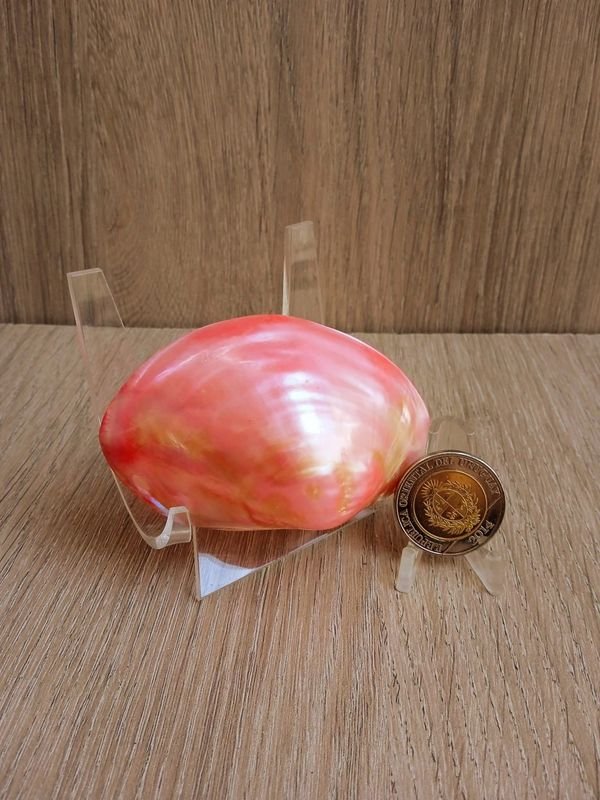 Item 884183 - Image 0