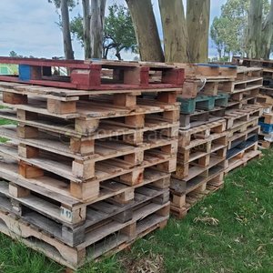Pallets de Madera y Autoelevadores Manuales - imagen 2