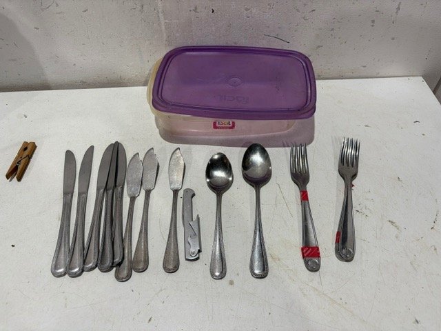 Lote de Cubiertos Metálicos con Recipiente Plástico