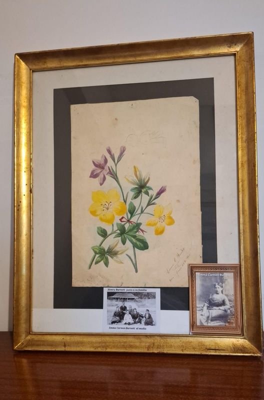 Item 856352 - Image 3