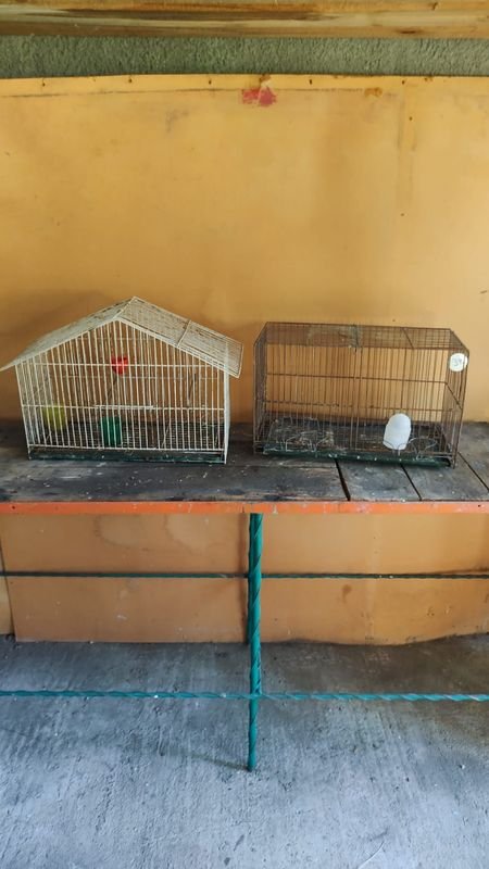 Jaulas para pájaros - Lote de 2 - imagen 1