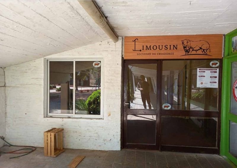 Item 893990 - Image 0