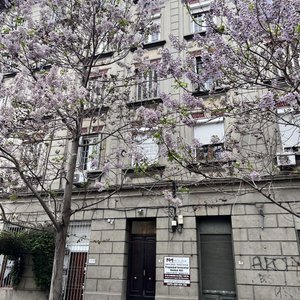 Edificio de Apartamentos en Remate Presencial - imagen 2