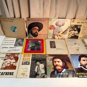 Selección de Vinilos de Música Folklórica Uruguaya y Argentina - imagen 1