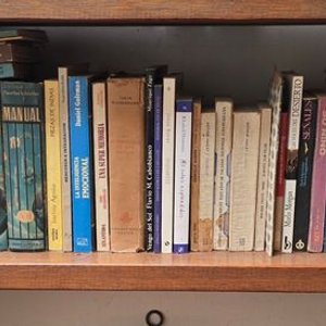 Lote siguiente: Selección de Novelas y Cuentos Infantiles Clásicos