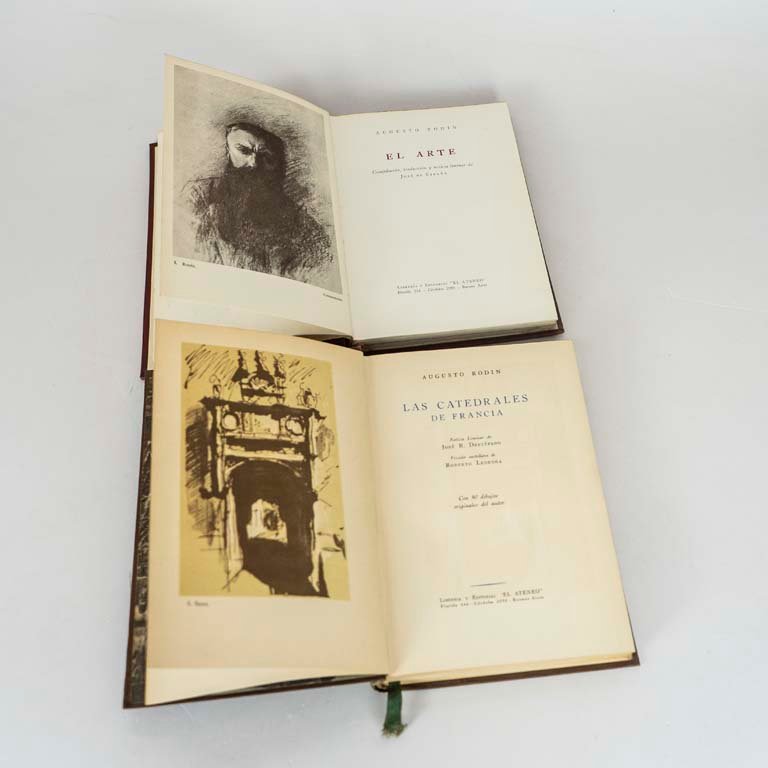 Dos libros sobre catedrales de Francia y arte de Augusto Rodin - imagen 2