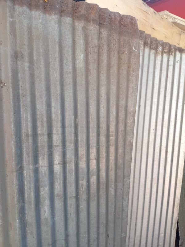 Item 873731 - Image 6