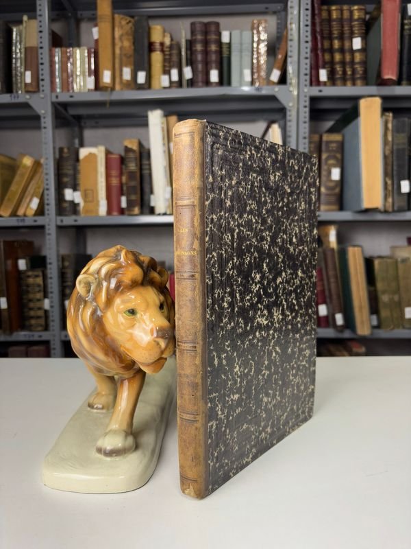 Item 889646 - Image 0