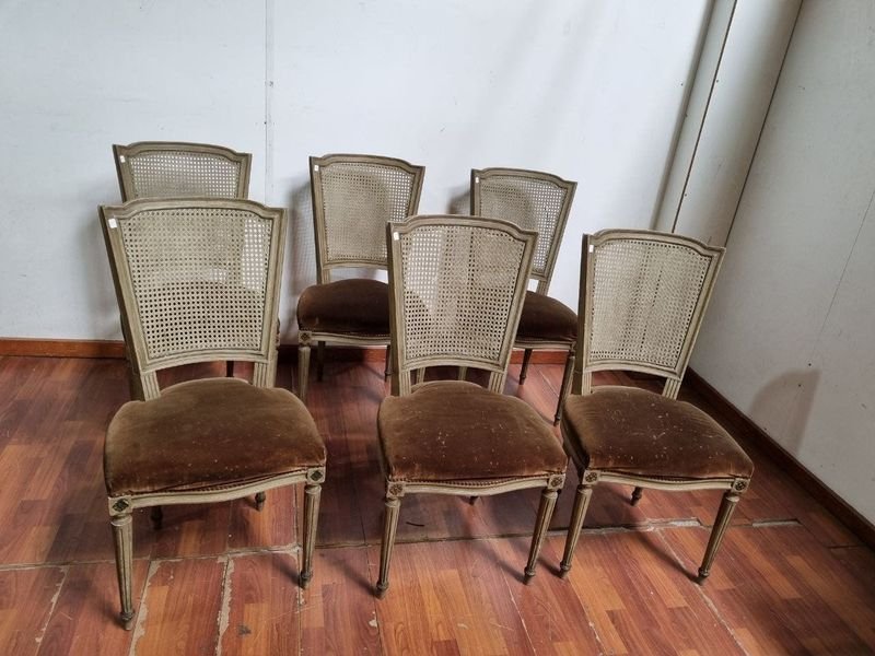 Juego de 6 Sillas Luis XV Estilo Francés con Respaldo Esterillado y Asiento de Pana Visón