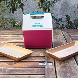 Conservadora portátil Little Lunchmate by Igloo y dos Cubeteras de Hilo de aluminio - imagen 1