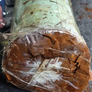 Antiguo Tarro Metálico para Inseminación con Tapa de Corcho - imagen 7