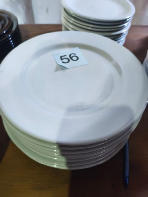 Lote de 9 Platos Blancos Redondos
