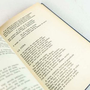 Antología de Juana de Ibarbourou - Edición Tapa Dura Editorial Losada - imagen 2