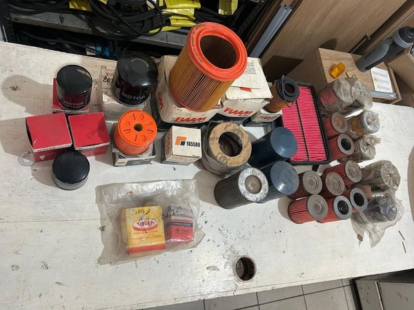 Lote de Filtros de Aceite y Combustible Varios - imagen 1