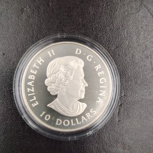 Moneda de Plata Canadiense "Gran Garza Azul" 150 Aniversario - $10 - imagen 8