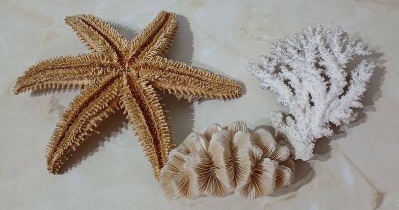 Item 852247 - Image 1