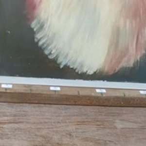Cuadro "Collie" o "Lassie" de Dora Cetani - Arte Original - imagen 4