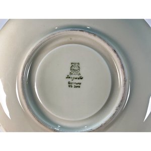 Juego de 8 Tazas de Té de Porcelana Bavaria Beige con Decoración Floral y 14 Platillos - imagen 5