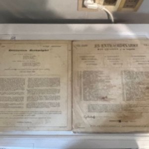 Lote de 2 Vinilos: Ray Conniff y Las Fuentes de Roma - imagen 1