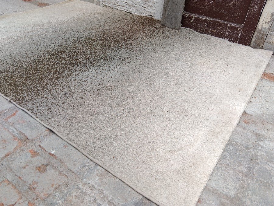 Alfombra en buen estado para decorar tu hogar - imagen 4