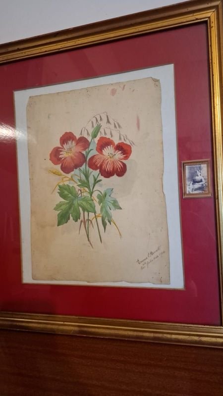 Item 856349 - Image 3