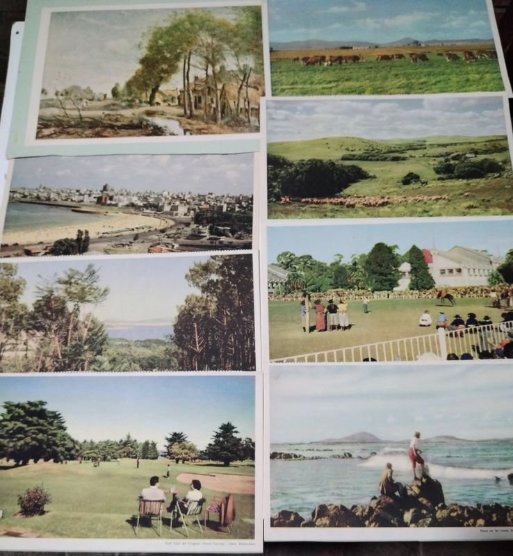 Item 845002 - Image 0