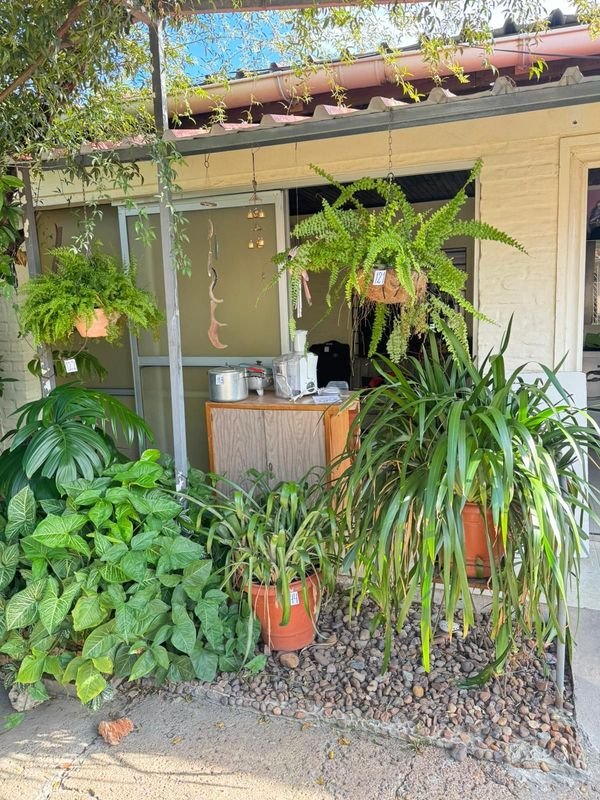 Item 892256 - Image 5