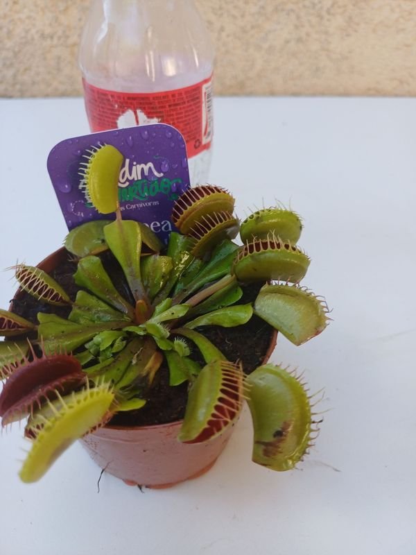 Item 875541 - Image 2