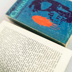 2 Tomos Cuentos Edgar Allan Poe Prólogo y Traducción Julio Cortázar Alianza - imagen 2