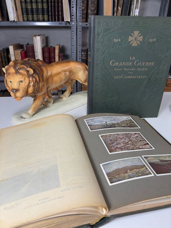 Item 879458 - Image 4