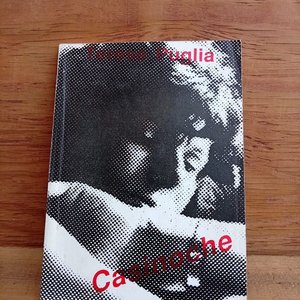 Lote siguiente: Libro Poemario Casinoche de Teresa Puglia, Primera Edición Firmado y Dedicado (1990)