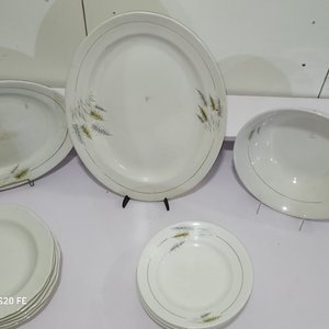 Lote de Vajilla de Porcelana Blanca con Diseño de Espigas: Fuentes y Platos - imagen 8