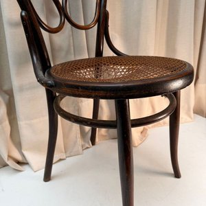 Silla Estilo Thonet Antigua con Detalle en Caño - imagen 4