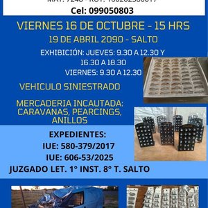 Remate Judicial: Vehículo Siniestrado y Bijouterie de Acero Inoxidable en Salto - imagen 1