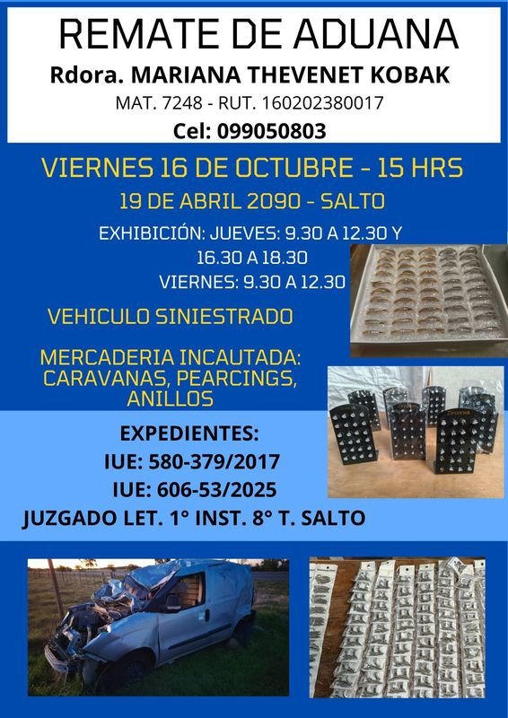 Remate Judicial: Vehículo Siniestrado y Bijouterie de Acero Inoxidable en Salto
