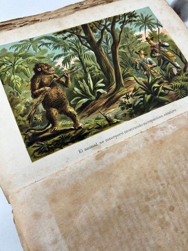 Obra ilustrada de temática histórica/colonial, edición antigua con láminas a color - imagen 5