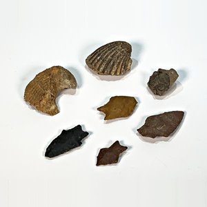 Conjunto de 7 Puntas de Lanza en Piedra y Fósiles Marinos - imagen 1