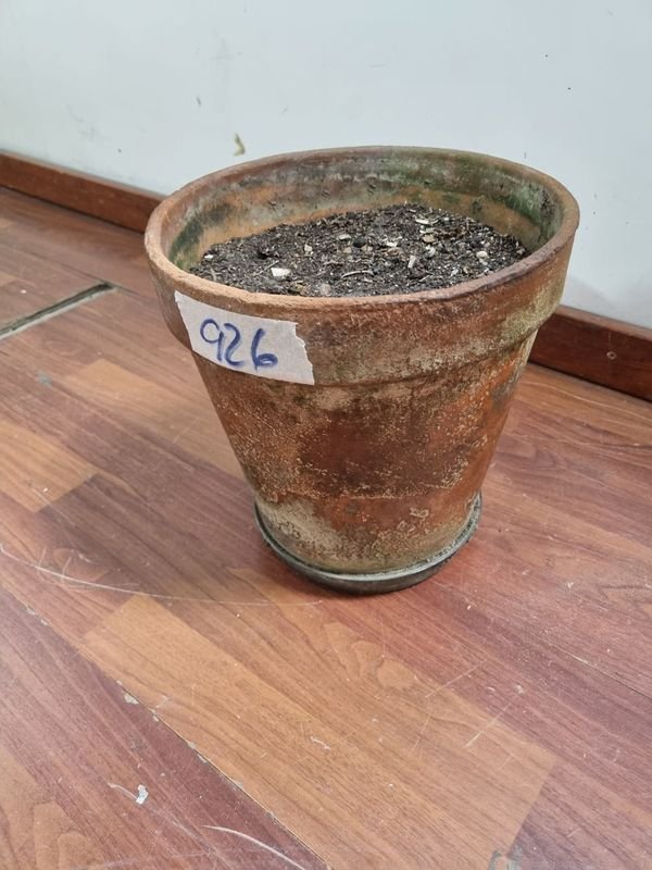 Maceta de barro deteriorada - imagen 2