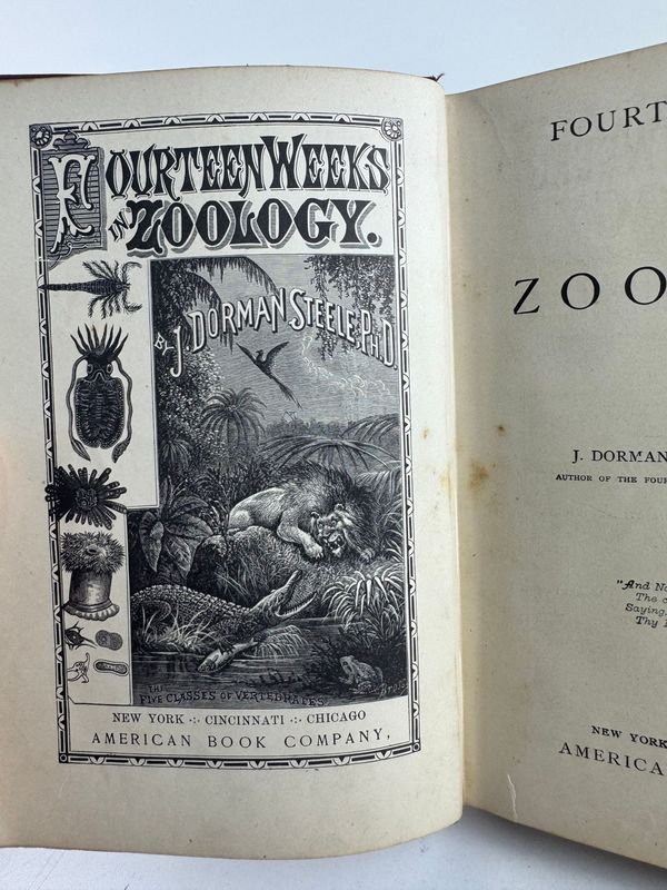 Libro de Zoología: 14 Semanas De Zoologia Por J. Dorman Steele - imagen 4