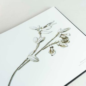 Libro de Arte en Plata por Marcelo Toledo, Tapa Dura - imagen 2
