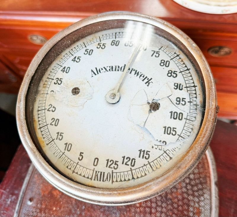 Item 881729 - Image 1