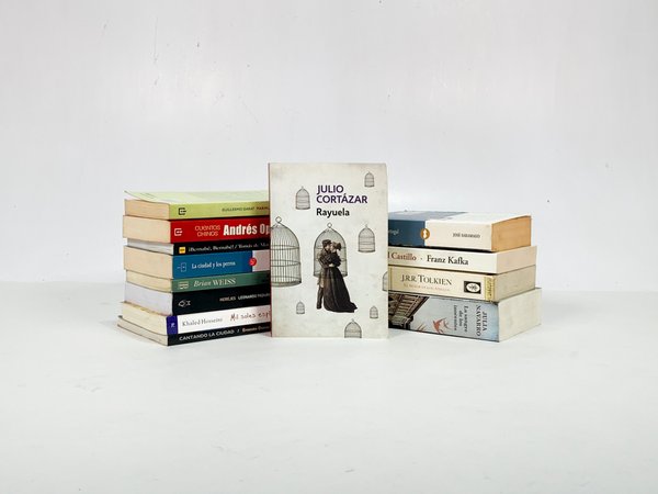 Lote anterior: Colección de novelas diferentes y variadas