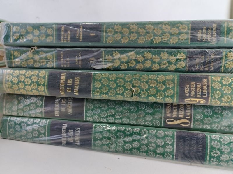 Item 842865 - Image 3