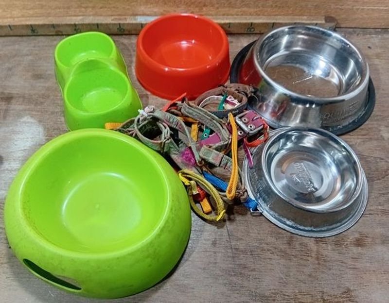 Comederos y collares para felinos o caninos en buen estado - imagen 3