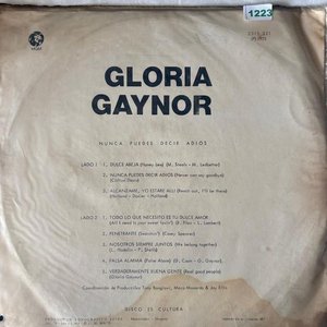Lote anterior: Disco de Vinilo Gloria Gaynor "Nunca Puedes Decir Adiós"