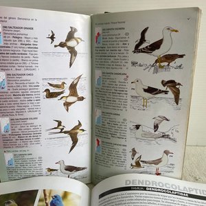 Lote de Libros sobre Aves del Río de la Plata y Uruguay - imagen 3