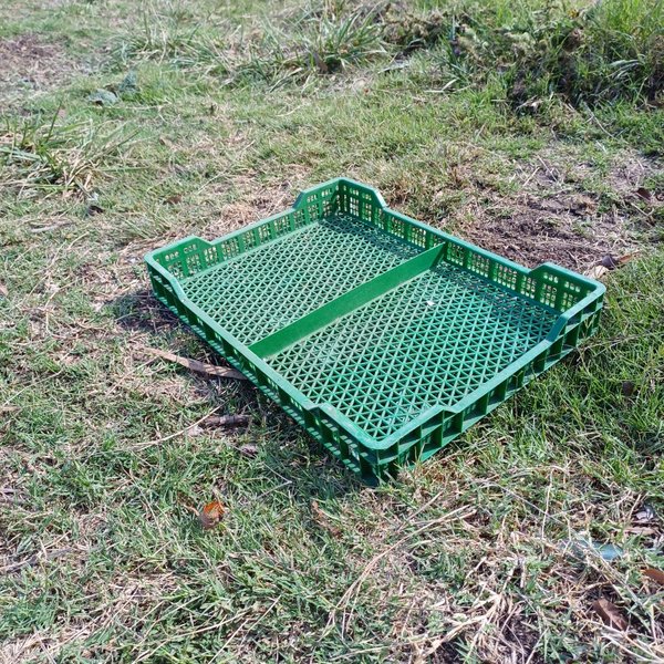 Lotes de cajas plásticas para cosecha - imagen 4