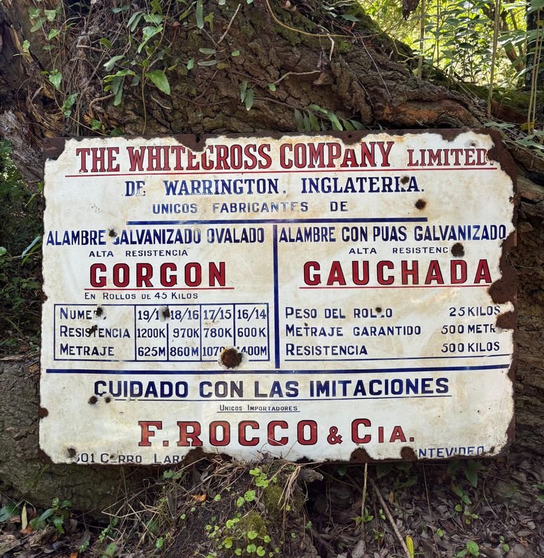 Item 852889 - Image 0