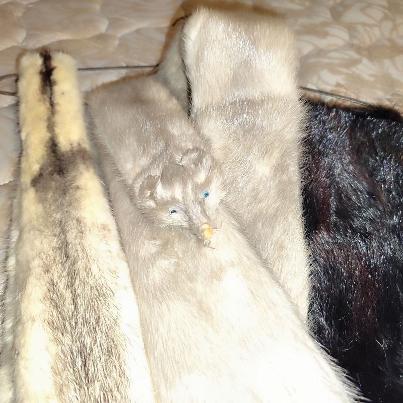 Item 880336 - Image 1